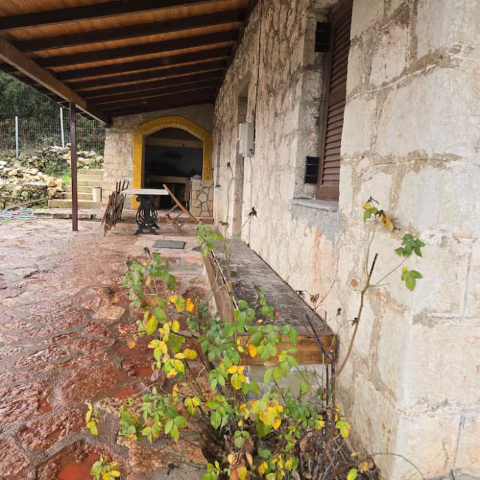 Βασιληγιάννη εξωτερικός χώρος