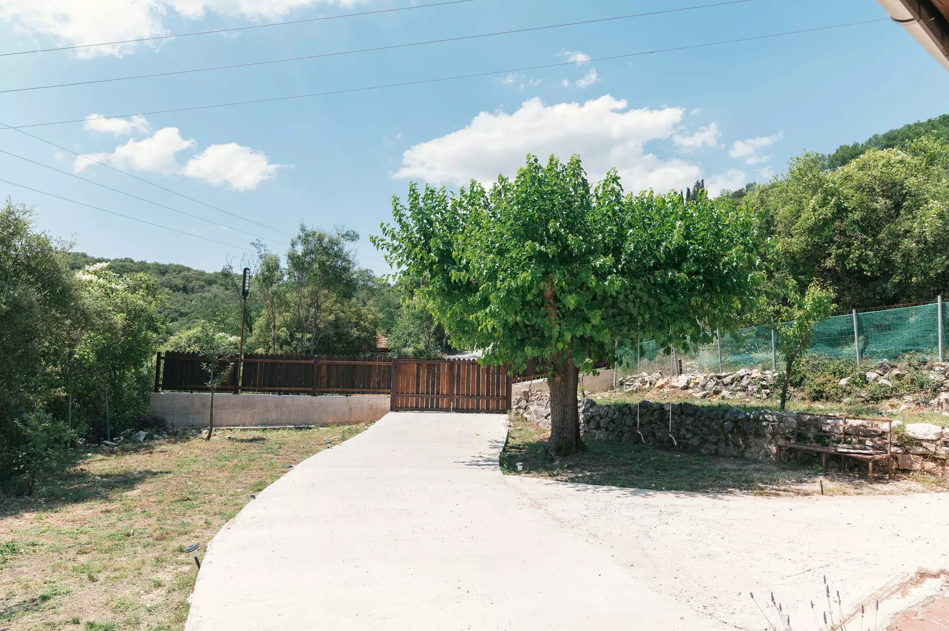 Βασιλιγιάννη εξωτερικά