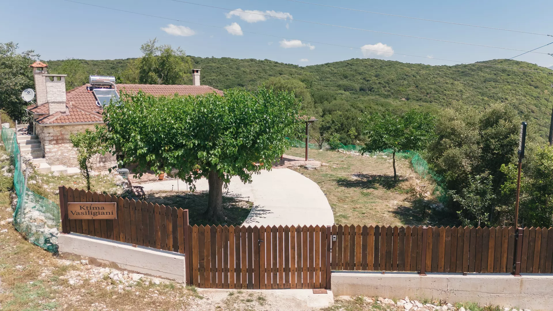 Βασιλιγιάννη εξωτερικά