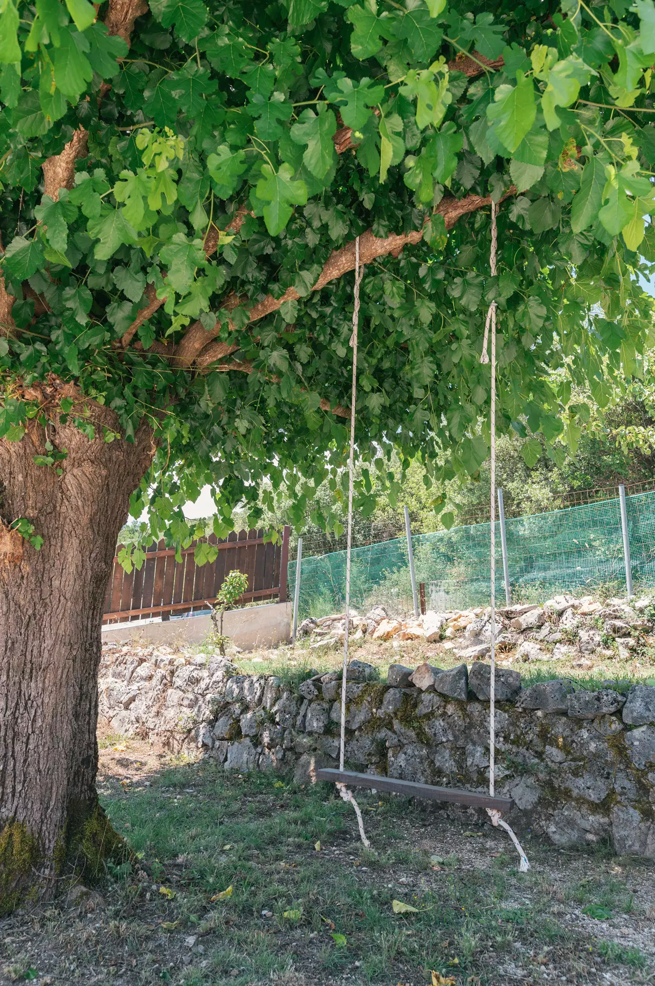 Βασιλιγιάννη εξωτερικά