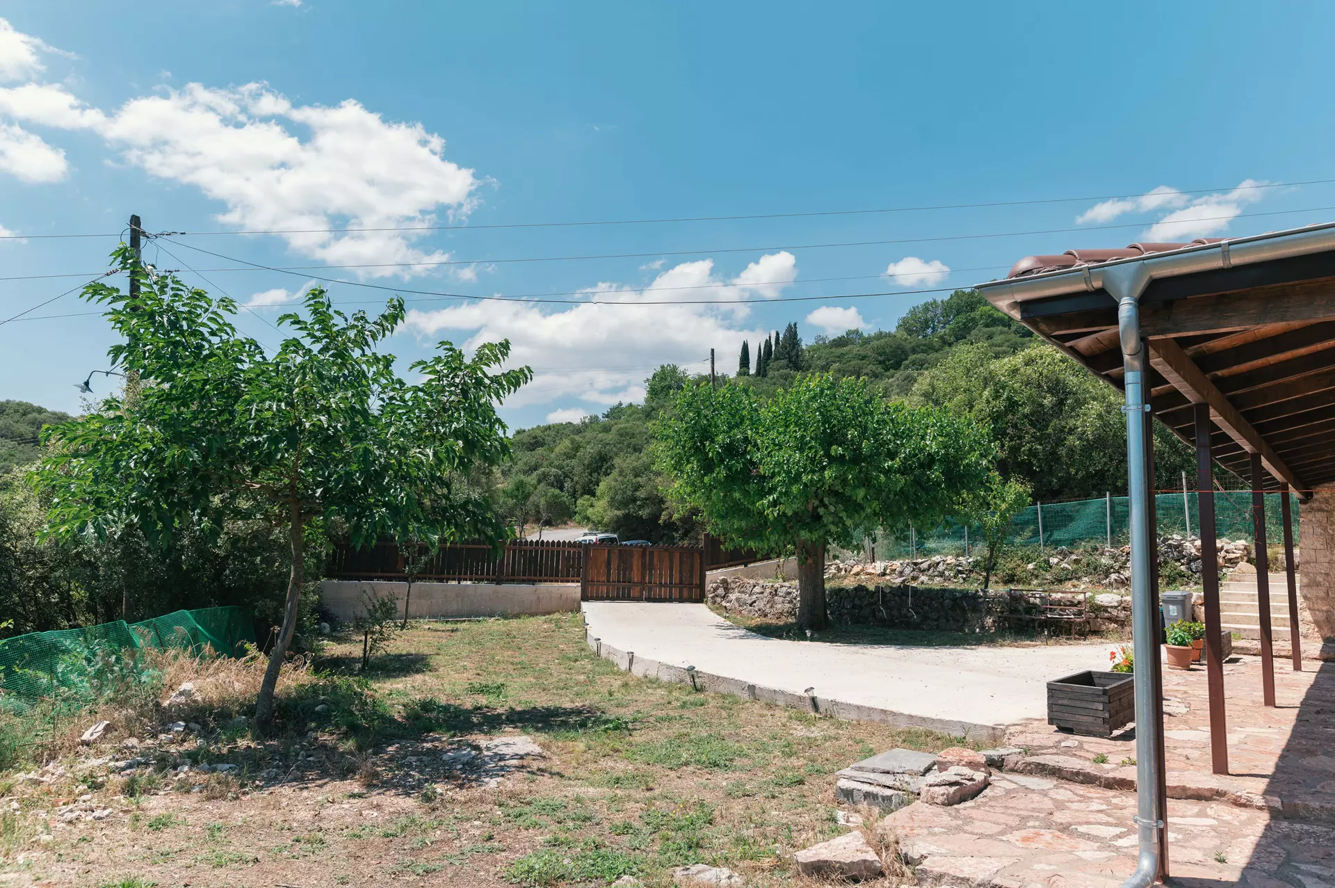 Βασιλιγιάννη εξωτερικά